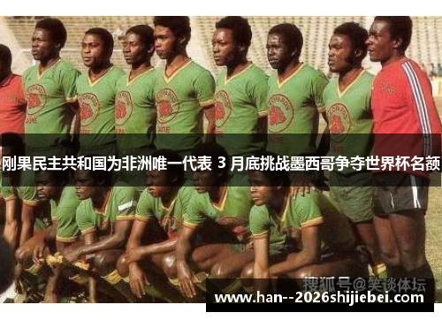 刚果民主共和国为非洲唯一代表 3 月底挑战墨西哥争夺世界杯名额